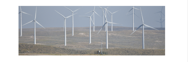 The IdentiFlight Automated Curtailment System in front of wind turbines