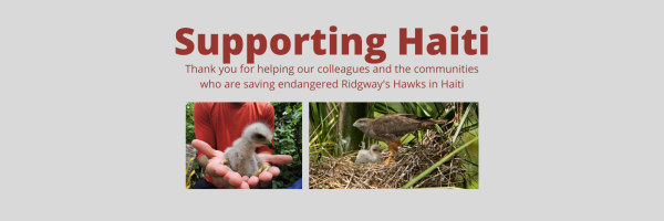 Supporting Haiti