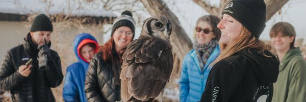 Snowy outdoor photo of Oliver the Owl, his trainer, and guests dressed warm