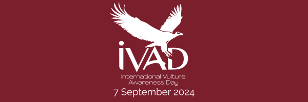 International Vulture Awareness Day 2024