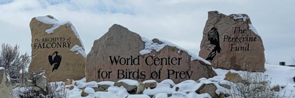 The Archives of Falconry, World Center for Birds of Prey, The Peregrine Fund signs in the snow