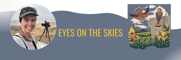 Eyes on the Skies