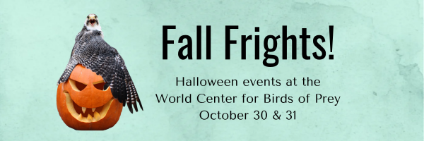 Fall Frights - Halloween events at the World Center for Birds of Prey - Oct 30 and 31, 2026