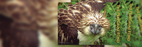 The cover of the 2027 TPF calendar, featuring a closeup of a Philippine Eagle.