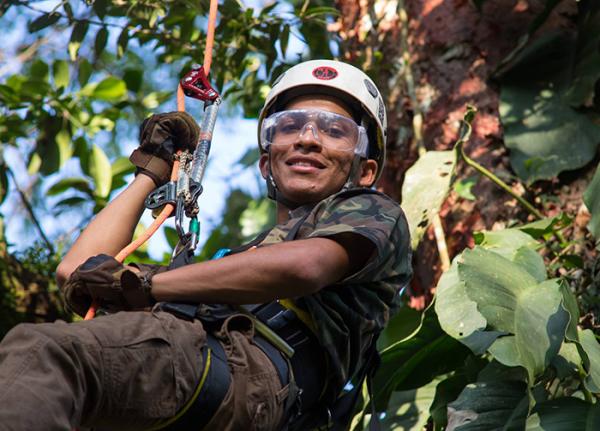 A student uses special equipment to climb a tree for research