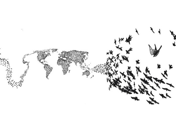 Original concept art for the inspiration wall showing a murmuration of shorebirds surrounding a diving Peregrine Falcon. The murmuration elsewhere forms a map of the world.