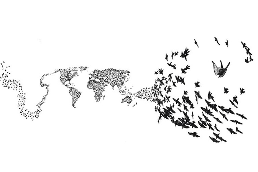 Original concept art for the inspiration wall showing a murmuration of shorebirds surrounding a diving Peregrine Falcon. The murmuration elsewhere forms a map of the world.