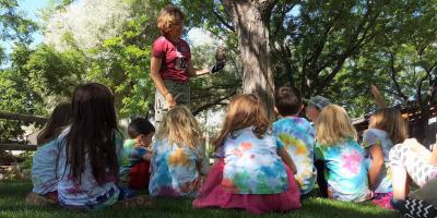 A volunteer shows a screech owl to a group of school children