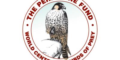 logo of The Peregrine Fund's World Center for Birds of Prey