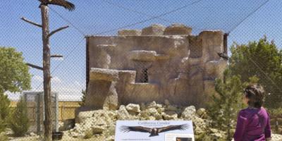 Entry to York Birds of Prey Centre for Two Adults and Two Children