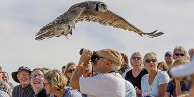 Varsity Tutors' StarCourse - Discovering Raptors with the WORLD CENTER FOR BIRDS OF PREY