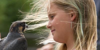 Varsity Tutors' StarCourse - Discovering Raptors with the WORLD CENTER FOR BIRDS OF PREY