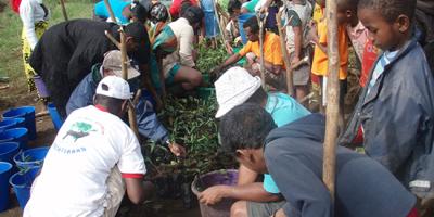 Members of a community in Madagascar plant trees