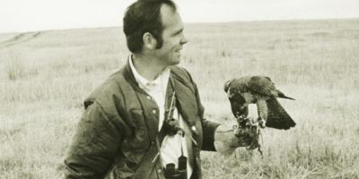 Bill Burnham hunting with falcon
