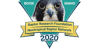 conference logo with peregrine portrait