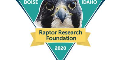logo with Peregrine portrait