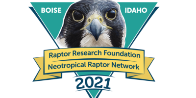 The logo of the 2021 Raptor Research Foundation