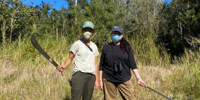 Field Coordinator extraordinaire Melissa, and Biologist Lorna, preparing to hack their way into the dense forest in search of an elusive Sharpy territory.  Once we reach a patch of ideal habitat, the crew quietly splits up and moves cautiously through the forest, listening and looking for clues of a hawk's presence.