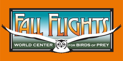 Fall Flights Logo