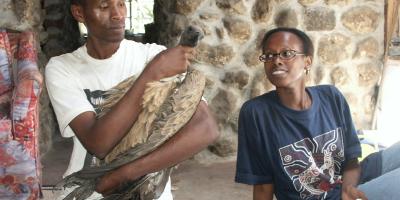 A man holds an African Vulture undergoing treatment