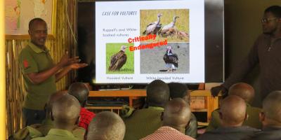 Biologist giving presentation on endangered vultures