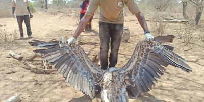 Abraham holding up a poisoned vulture