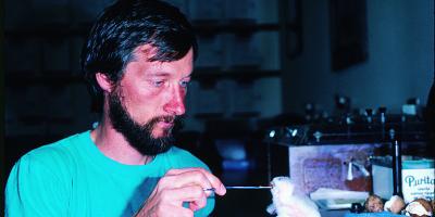 Cal Sandfort feeding Peregrine Falcon chick