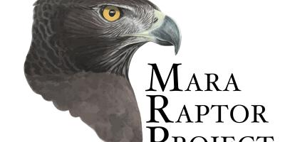 Logo for Mara Raptor Group