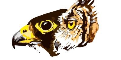 Kenya Bird of Prey Trust Logo