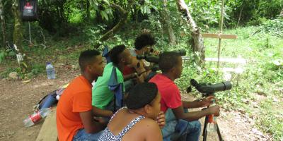 Field biologsts observing released hawks