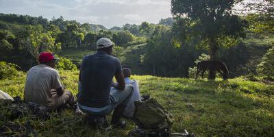 Biologists monitoring a nest