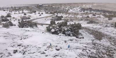 Snow covered habitat restoration area of a sagebrush steppe