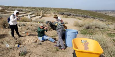 Habitat Restoration Field work ecology