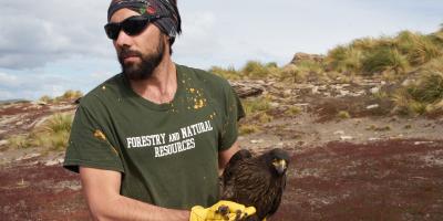 Field biologist holding a raptor