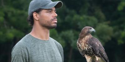 A biologist looking off into the distance with an ambassador Red-tailed Hawk on his glove