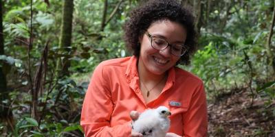 A smiling biologist examining a down-covered nestling Puerto Rican Sharp-shinned Hawk