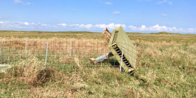 Nesting structure lies on the ground after falling