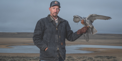 Paul Juergens with falconry bird