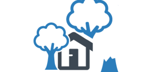House, trees, and stump