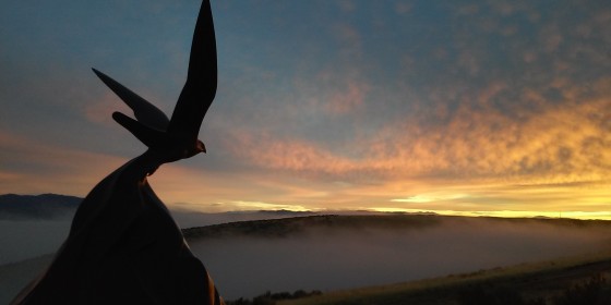 The sun sets outside of the Archives of Falconry