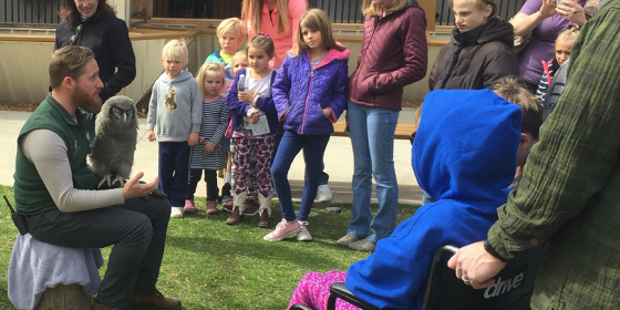 Education Curator Curtis shows Verreaux's Eagle-owl Oliver to a group of visitors