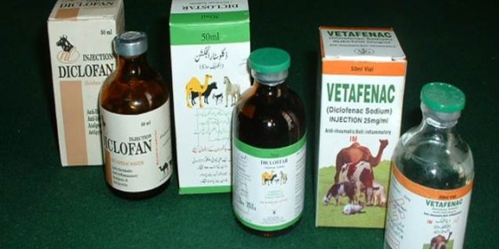 Different bottles of Diclofenac are lined up