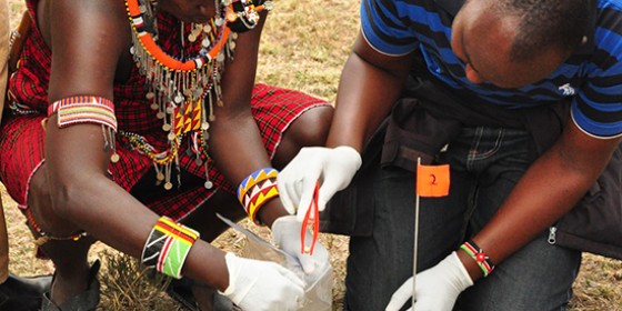 collecting samples to train for poisoning response