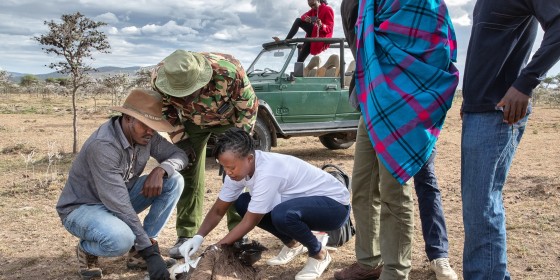 Valerie with other biologists rescuing a poisoned vulture
