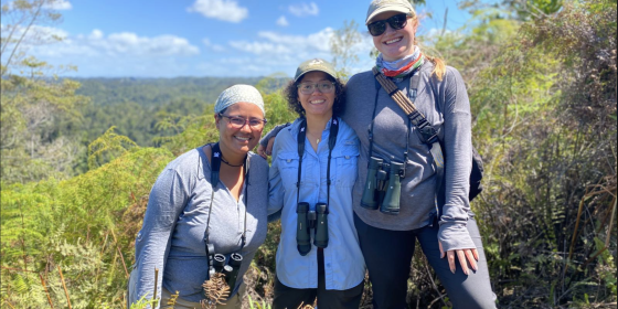 Three field crew members in the field in Puerto Rico