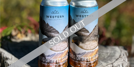 Two Birds of Series cans placed on a stump.