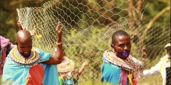 Samburu women building boma in Kenya