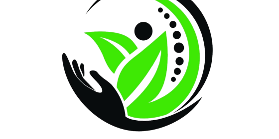 Logo ACSEH