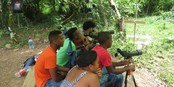 Field biologsts observing released hawks