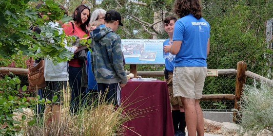 High School Volunteers showing guests the California Condors
